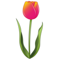 Tulip Emoji Emojidex