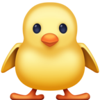 Front Facing Baby Chick Emoji Facebook