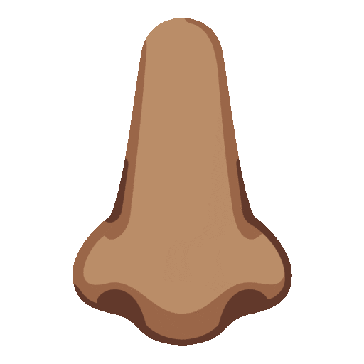 Nose Emoji Google-animated