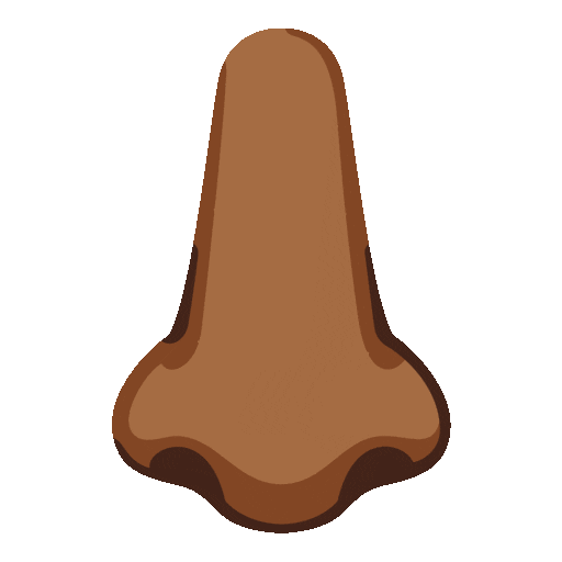 Nose Emoji Google-animated