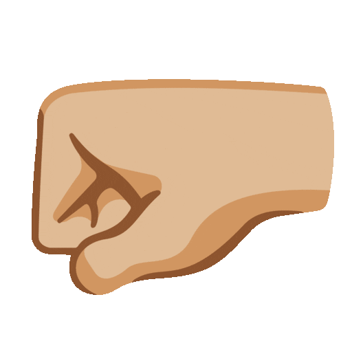 Left Facing Fist Emoji Google-animated