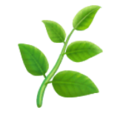 Herb Emoji Huawei