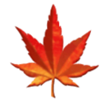 Maple Leaf Emoji Huawei
