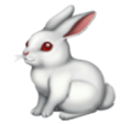 Rabbit Emoji Huawei