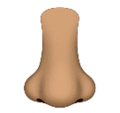 Nose Emoji Huawei