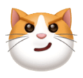 Cat With Wry Smile Emoji Huawei