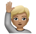 Person Raising Hand Emoji Huawei