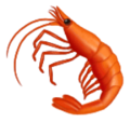 Shrimp Emoji Huawei