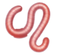 Worm Emoji Huawei