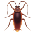 Cockroach Emoji Huawei