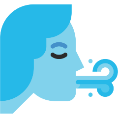 Wind Face Emoji Skype