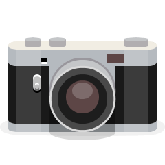 Camera With Flash Emoji Skype