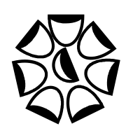 Cuneiform Numeric Sign One N30d