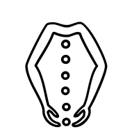 Egyptian Hieroglyph-#139AB