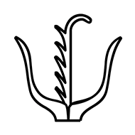 Egyptian Hieroglyph-#13BA5