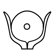 Egyptian Hieroglyph-#13BA6