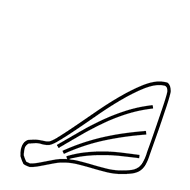 Egyptian Hieroglyph-#13BB6