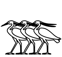 Egyptian Hieroglyph-#13C4B