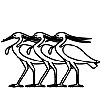 Egyptian Hieroglyph-#13C4C